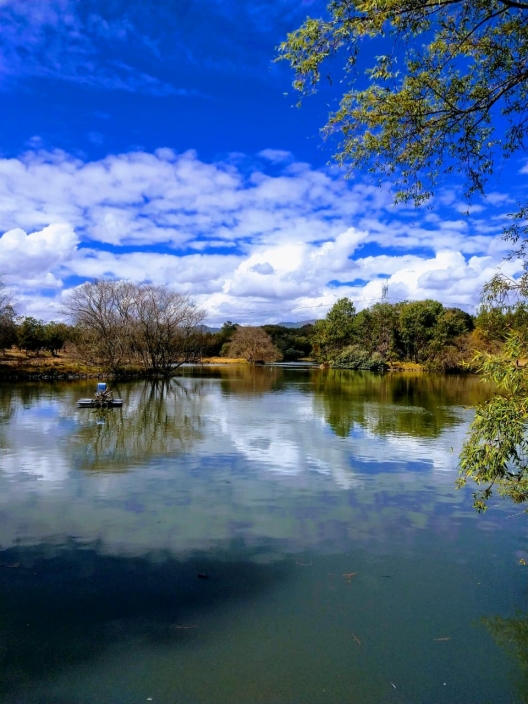 WhatsApp Image 2020-01-21 at 20.20.50.jpg